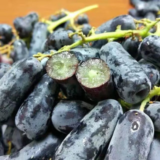 乡语小吖 澳洲金手指葡萄2斤 新鲜水果 进口葡萄 蓝宝石黑加仑 提子 生鲜