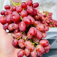 乡语小吖现摘红提葡萄 4斤 当季新鲜红提子 脆甜葡萄水果 生鲜