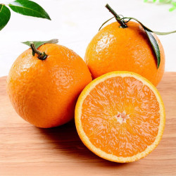 枝头春四川青见果冻橙5斤装6575mm