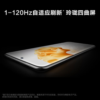 HUAWEI 华为 P60 256GB