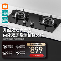 Xiaomi小米米家燃气灶 液化气灶 防爆玻璃面板双灶具 家用4.8kW猛火灶 台嵌两用 JZT-MJ01C(液化气)