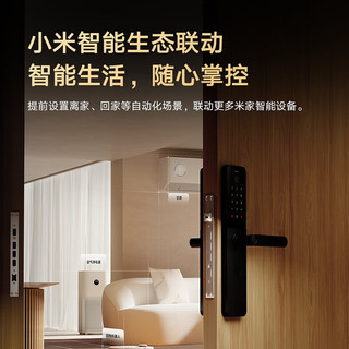 Xiaomi 小米 MI 小米 E10 智能电子锁 黑色
