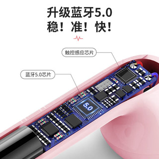 小米（MI）适用蓝牙耳机可爱女生款无线适用于苹果华为vivo小米 自动配对+双耳白色+降噪+大龙猫