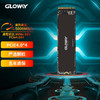 光威（Gloway）512GB SSD固态硬盘 M.2接口(NVMe协议) PCIe 4.0 Professional系列 读速高达5000MB/s TLC颗粒