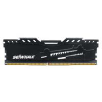 SEIWHALE 枭鲸 电竞系列 DDR4 3200MHz 台式机内存条 32GB