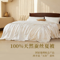 20日20点：YANXUAN 网易严选 蚕丝被夏被被芯A类100%天然蚕丝400克220*240cm白色