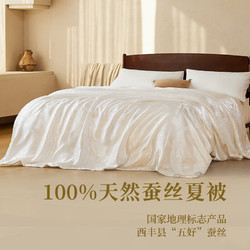 YANXUAN 网易严选 100%蚕丝夏被 400克 220*240cm白色