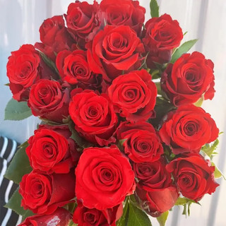 河北科学技术出版社 芊芊细语旗舰店 20支随机玫瑰 送20支随机玫瑰