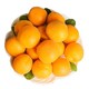 有券的上：陕西金太阳大黄杏 2.5斤