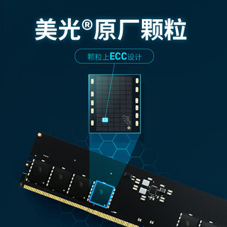 Crucial 英睿达 Crucial Pro系列 DDR5 5600MHz 台式机内存 马甲条 黑色 32GB 16GBx2 CP2K16G56C46U5