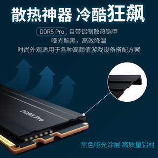 Crucial 英睿达 Crucial Pro系列 DDR5 5600MHz 台式机内存 马甲条 黑色 32GB 16GBx2 CP2K16G56C46U5