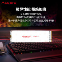 Asgard 阿斯加特 AN系列 AN4+ NVMe M.2 固态硬盘 1TB（PCI-E4.0）