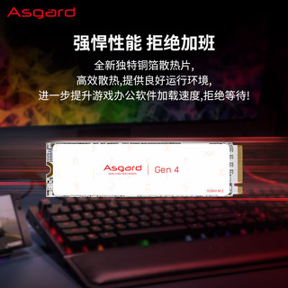 Asgard 阿斯加特 AN4+ NVMe M.2 固态硬盘（PCI-E4.0）