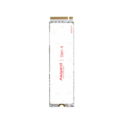 Asgard 阿斯加特 AN系列 AN4+ NVMe M.2 固态硬盘 1TB（PCI-E4.0）