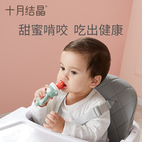 十月结晶婴儿食物咬咬袋牙胶玩具果蔬 乐磨牙棒宝宝吃水果辅食器