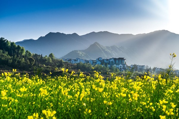 有套房、别墅、汤屋！覆盖多个旅游热门地！全国悦榕庄酒店13店2晚含早通兑（连住）