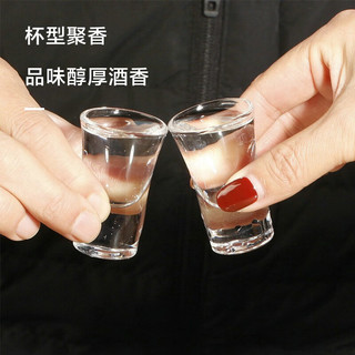 佳佰 白酒杯分酒器套装家用可温酒玻璃酒盅酒壶1壶6杯