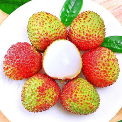 海南妃子笑 4.5斤