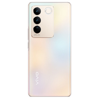 vivo S16 12GB+512GB 烟花 高通骁龙870 前置5000万追焦人像 原彩柔光环 66W闪充 5G 拍照 手机