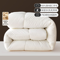 BLISS 百丽丝 澳洲进口100%纯羊毛冬被 约4-7斤 200*230cm