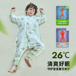 Hoag（霍格）6A级桑蚕丝竹棉婴幼儿睡袋夏季透气抗菌长绒棉儿童睡衣 机器汪长袖双层 90