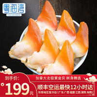 粤海湾黄金贝 大号整只寿司食材刺身伴侣 生鲜贝类即食健康轻食 黄金贝1000g