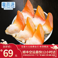 粤海湾黄金贝 大号整只寿司食材刺身伴侣 生鲜贝类即食健康轻食 黄金贝250g