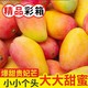 正宗海南贵妃芒果应季当季新鲜水果批发一整箱包邮4.8斤120g以上