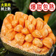 元族  泰国进口红肉菠萝蜜 单果整个8-10斤