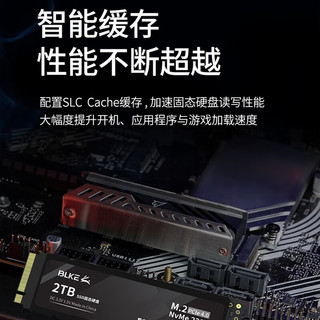 BLKE 宏碁笔记本固态硬盘M.2接口 NVMe协议 PCIe 4.0暗影骑士掠夺者游戏本升级硬盘 宏碁笔记本专用SSD固态硬盘 2TB