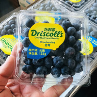 乡语小吖 云南怡颗莓限量版（20mm+）4盒 新鲜水果 当季现摘云南蓝莓 生鲜