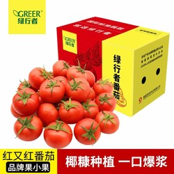 GREER 绿行者 红又红番茄  5斤