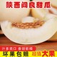 万悠 新鲜整箱阎良甜瓜净4.7斤薄皮瓜当季新鲜水果非黄河蜜瓜