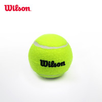 Wilson 威尔胜 康友网悦 威尔逊 散装无压袋装训练比赛网球60个训练袋装 WRT136000/1个装