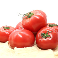 88VIP：哪咤豆豆 山东粉番茄沙瓤生吃西红柿 2.5kg