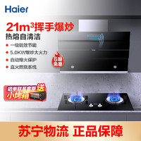 海尔(Haier)抽油烟机 侧吸式油烟机 有效风 22立方500pa挥手智控3D立体拢烟一键热熔洗家用E900C25U1 挥手爆炒302S+5.0KW灶2BE2