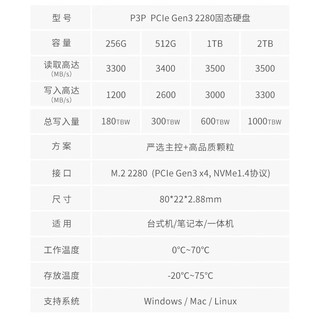 GeIL 金邦 P3P SSD固态硬盘 M.2接口PCIe 3.0（NVMe协议） 1TB