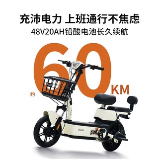 TAILG 台铃 电动车 48V20A