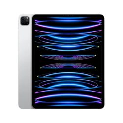 Apple 苹果 iPad Pro 2022款 12.9英寸平板电脑 256GB WLAN版
