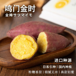 龙觇超甜  日本引进鸣门金时地瓜   9斤   单果 50-100G