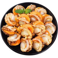 SHIXIAOLU 拾小鹿 精选大号扇贝肉 500g