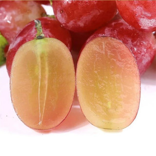 乡语小吖现摘红提葡萄 2斤 当季新鲜红提子 脆甜多汁葡萄水果 生鲜