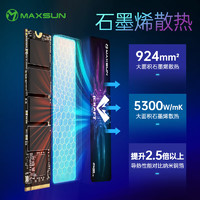 MAXSUN 铭瑄 电竞之心Pro系列 NVMe M.2固态硬盘 2TB（PCIe4.0）