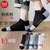 Miiow 猫人 男士夏季短袜 5双装 SQB033259