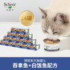 SCHESIR 雪诗雅 进口猫罐头吞拿鱼加白饭鱼零食罐头 啫喱系列 85g*14罐装