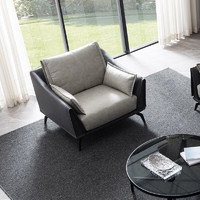爱依瑞斯（ARIS）现代轻奢科技布沙发意式极简发小户型羽绒布艺沙发单人位WFS-93