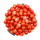 GREER 绿行者 红樱桃番茄生吃小西红柿1.5kg