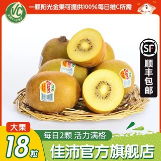 Zespri 佳沛 阳光金果 奇异果 单果124-134g 12个