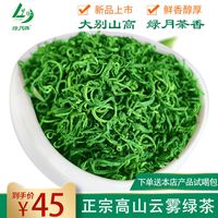 Lvyue 绿月 茶叶绿茶2022新茶浓香耐泡安徽高山云雾茶500g袋装炒青茶绿色食品