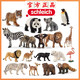 Schleich 思乐 [官方正品]德国Schleich思乐动物模型仿真动物模型老虎野生大猩猩